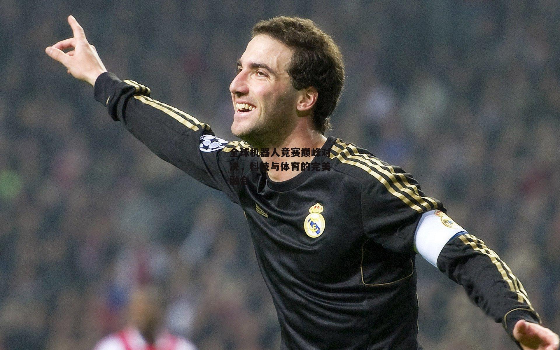 全球机器人竞赛巅峰对决,科技与体育的完美融合