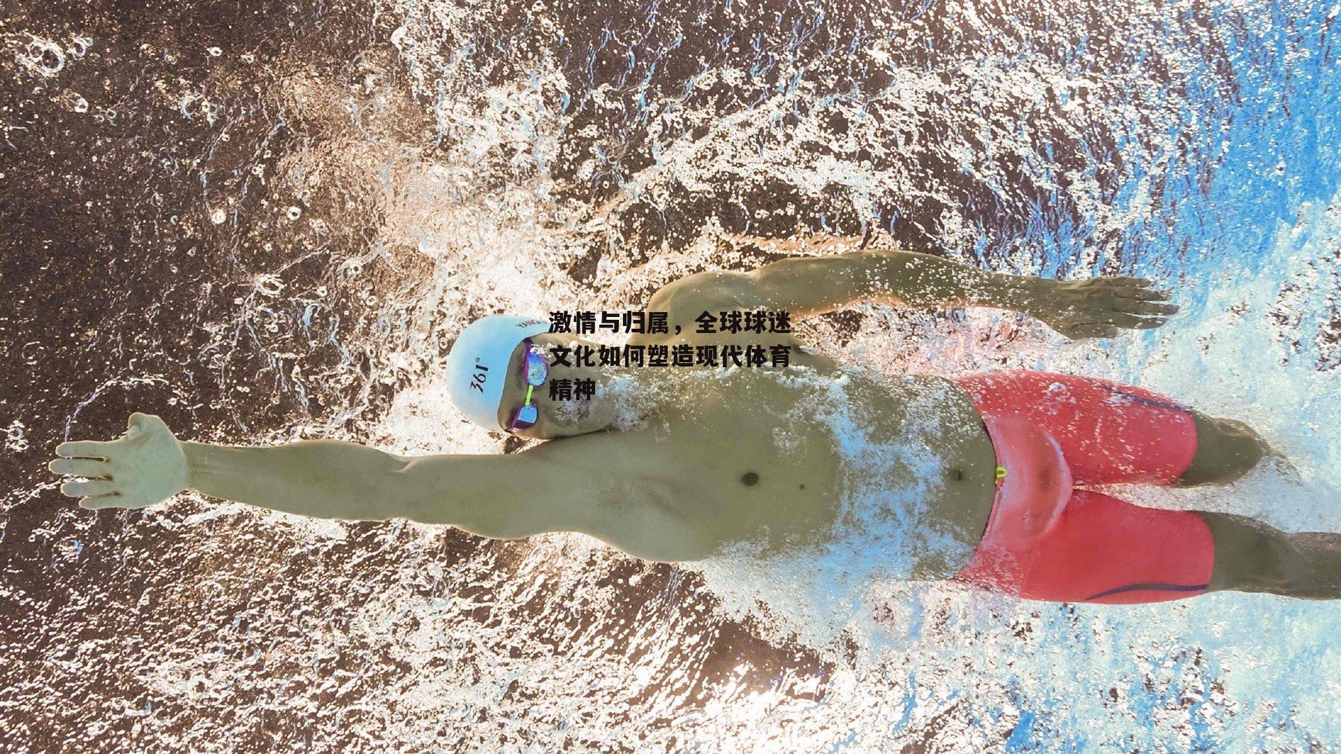 激情与归属,全球球迷文化如何塑造现代体育精神